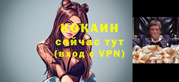 дурь Арсеньев